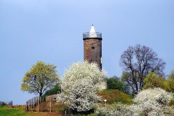 Bild 1_1